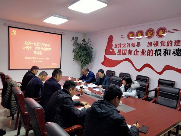 徽盐地产公司总会计师杨蔚峰到泗县项目公司宣讲党的十九届六中全会及省十一次党代会精神